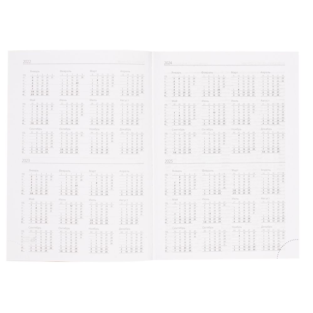 Ежедневник Favor, недатированный, оранжевый / Миниатюра WWW (1000)