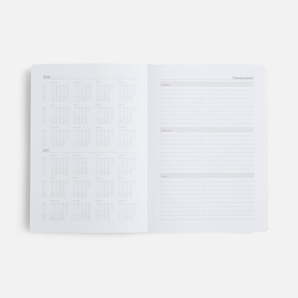 Ежедневник Basis, датированный, серый / Миниатюра WWW (1000)