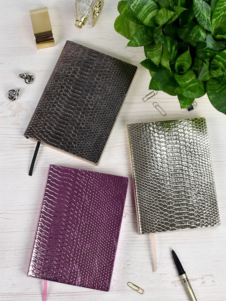 Ежедневник Anaconda, недатированный, серебристый / Миниатюра WWW (1000)