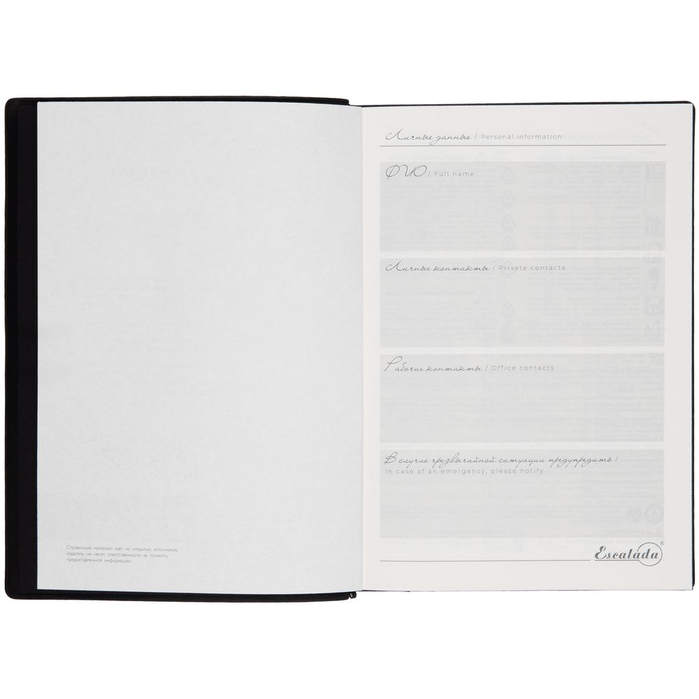 Ежедневник Anaconda, недатированный, серый / Миниатюра WWW (1000)