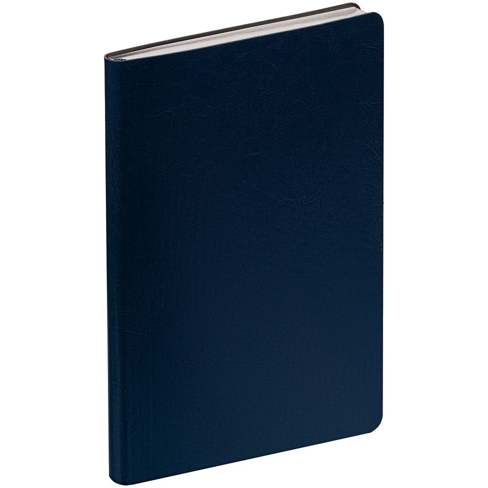 Ежедневник Nebraska Flex, недатированный, синий с серебром / Миниатюра WWW (1000)