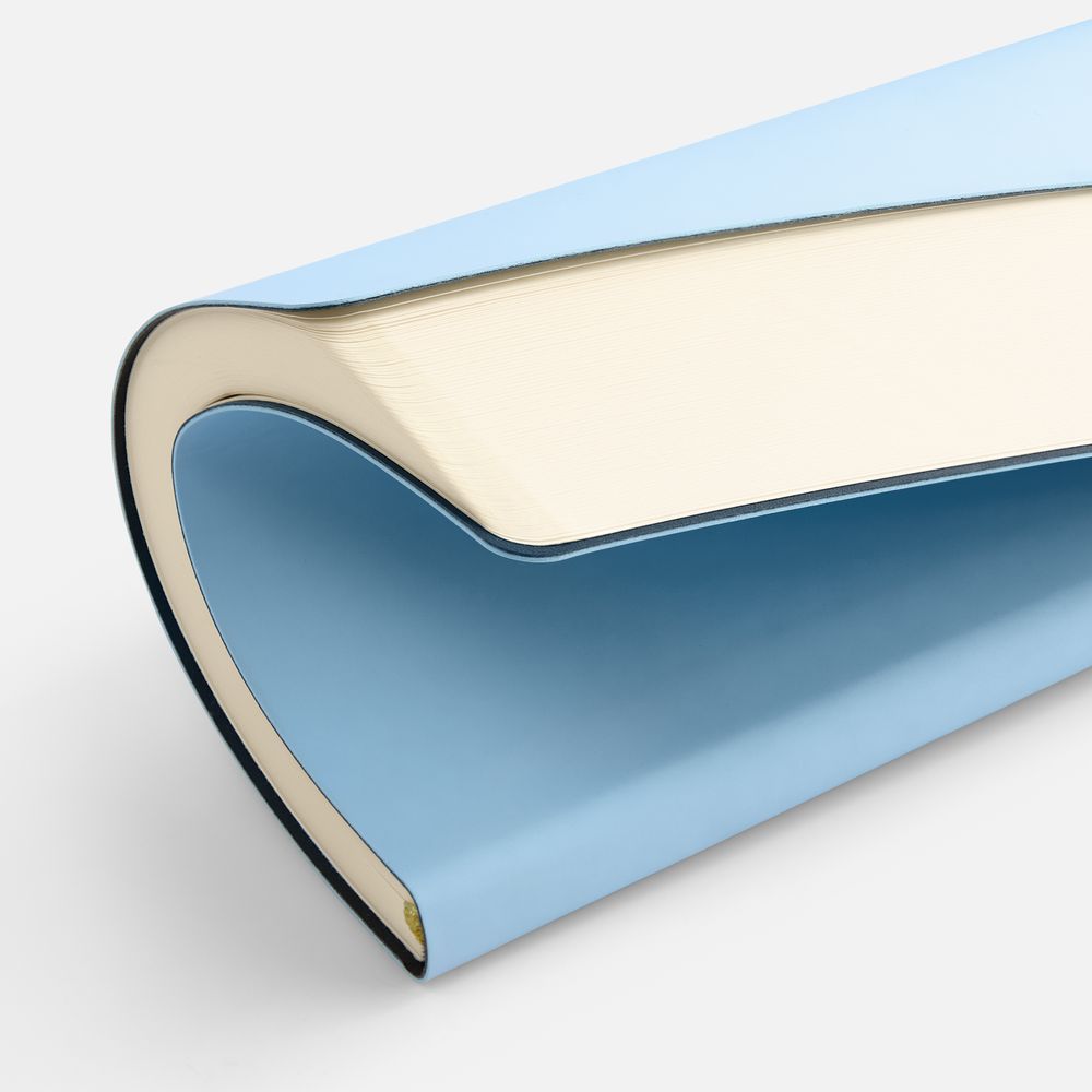 Ежедневник Flex Shall New, недатированный, голубой / Миниатюра WWW (1000)