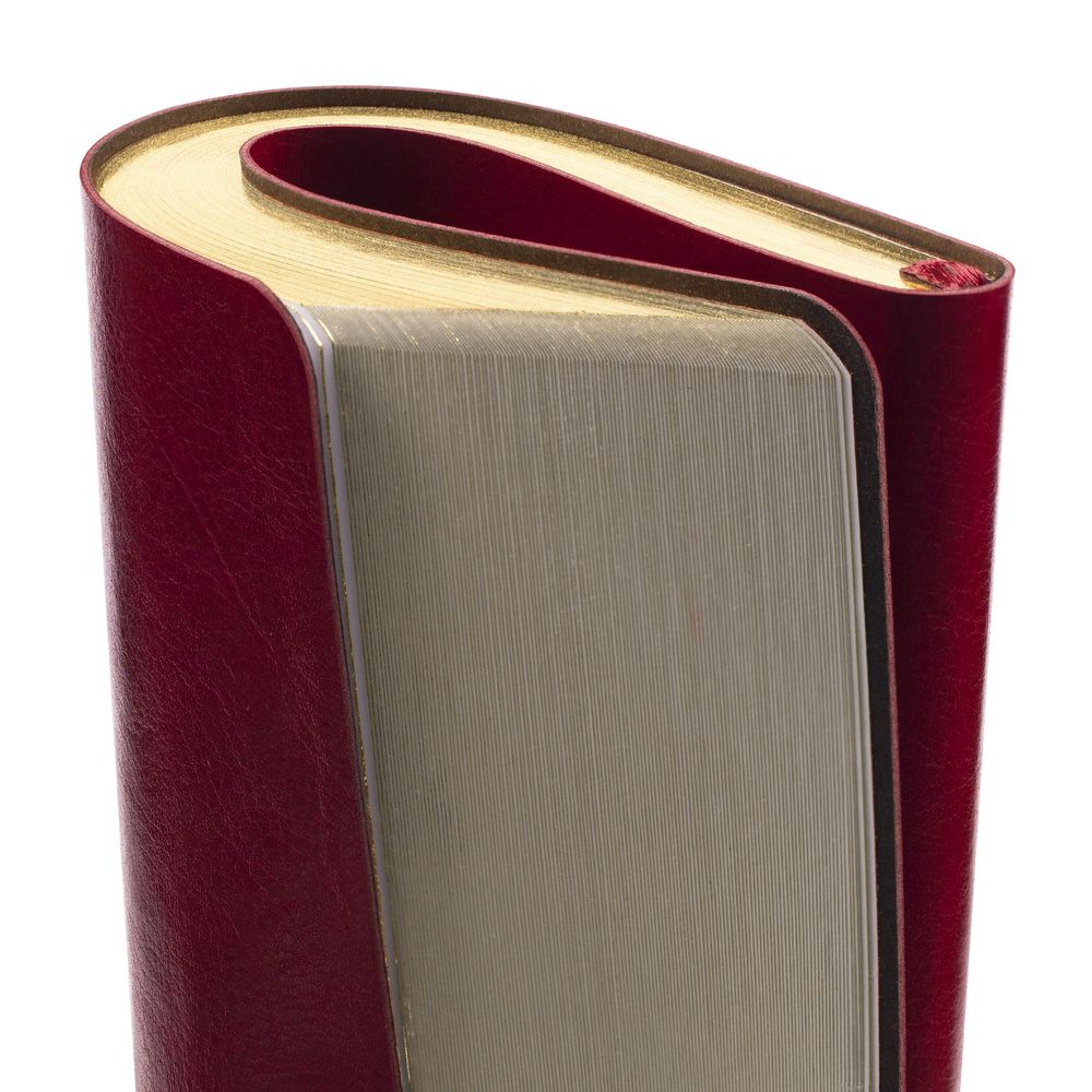 Ежедневник Nebraska Flex, недатированный, бордовый с золотистым / Миниатюра WWW (1000)