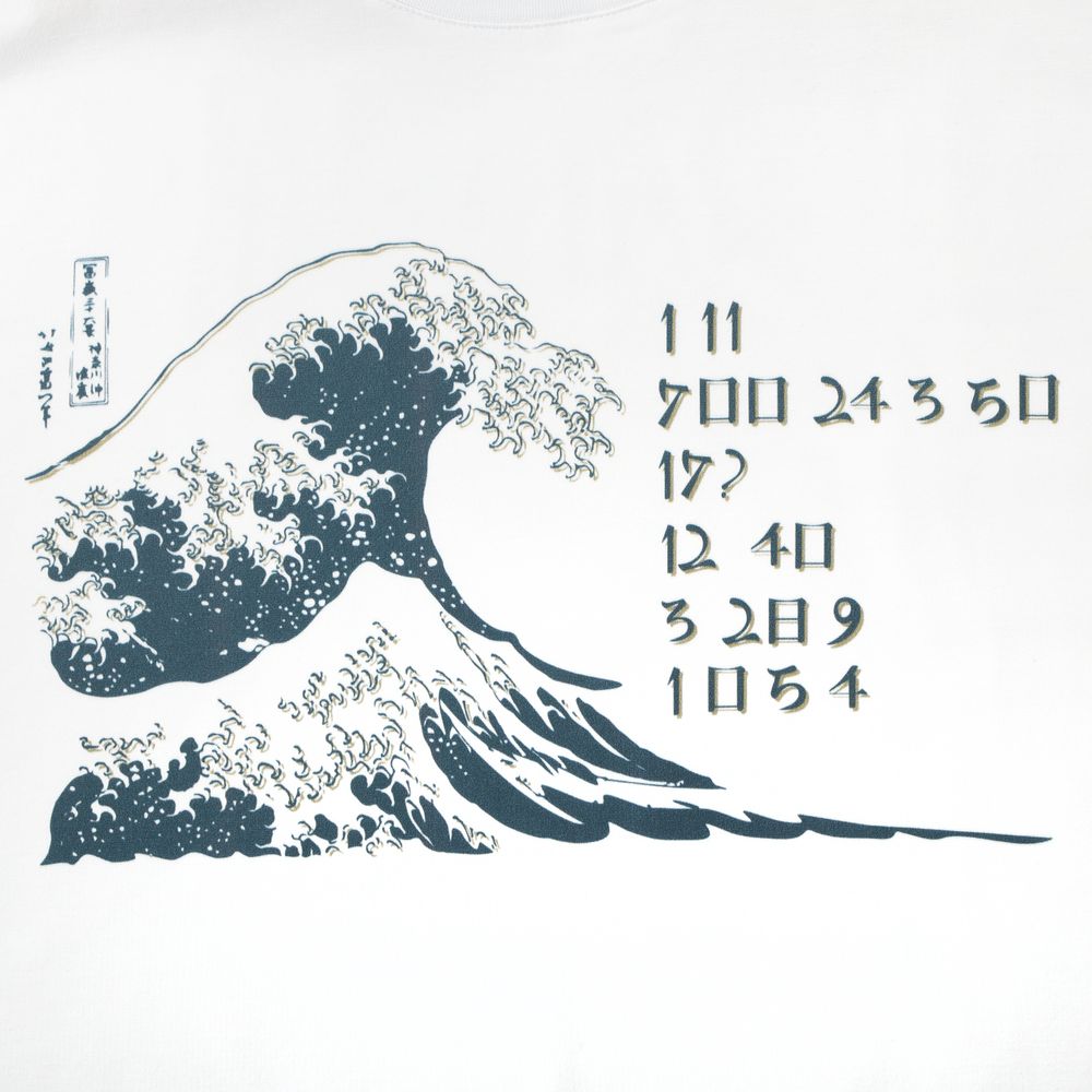 Футболка «Цифровые стихи. Японская поэзия», белая / Миниатюра WWW (1000)