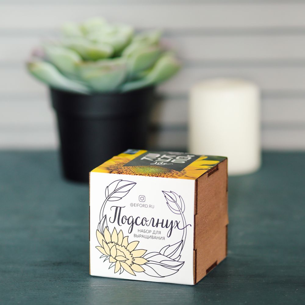 Набор для выращивания «Экокуб Lite», подсолнух / Миниатюра WWW (1000)