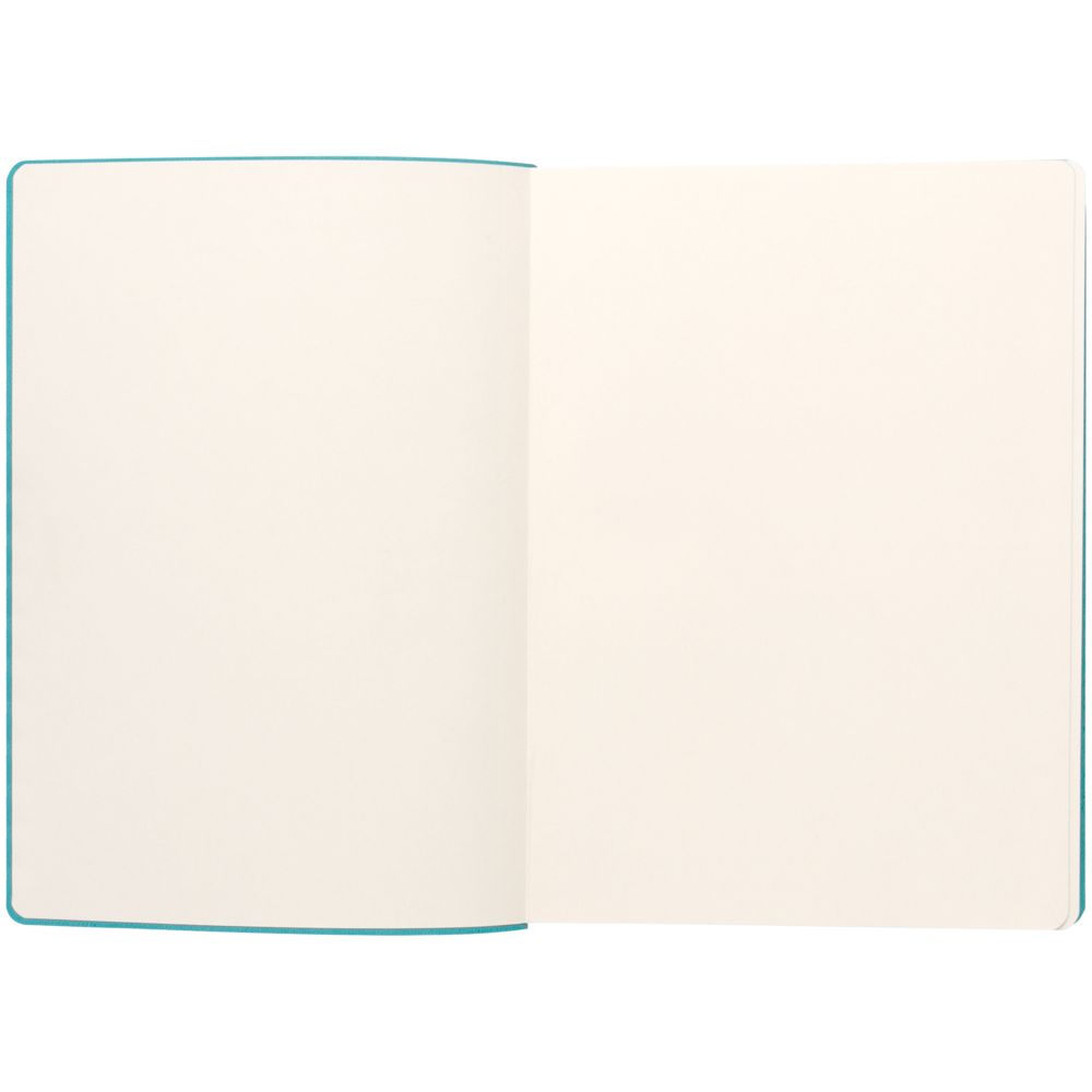 Ежедневник Flexpen, недатированный, серебристо-бирюзовый / Миниатюра WWW (1000)