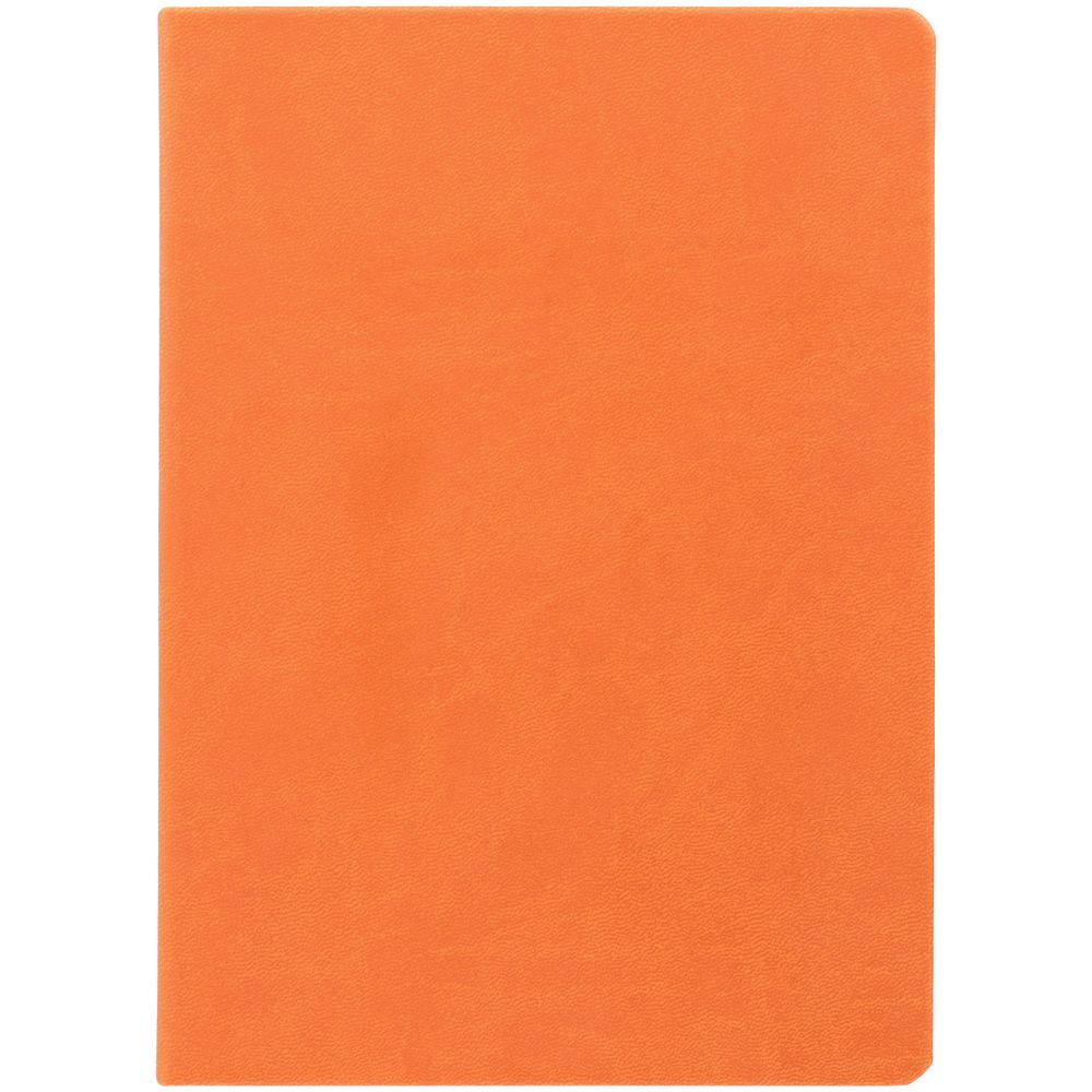 Ежедневник Basis, датированный, оранжевый / Миниатюра WWW (1000)