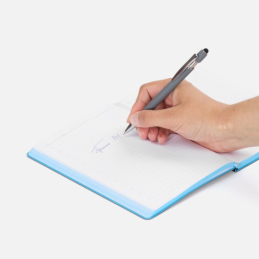 Ручка шариковая Pointer Soft Touch со стилусом, серая / Миниатюра WWW (1000)