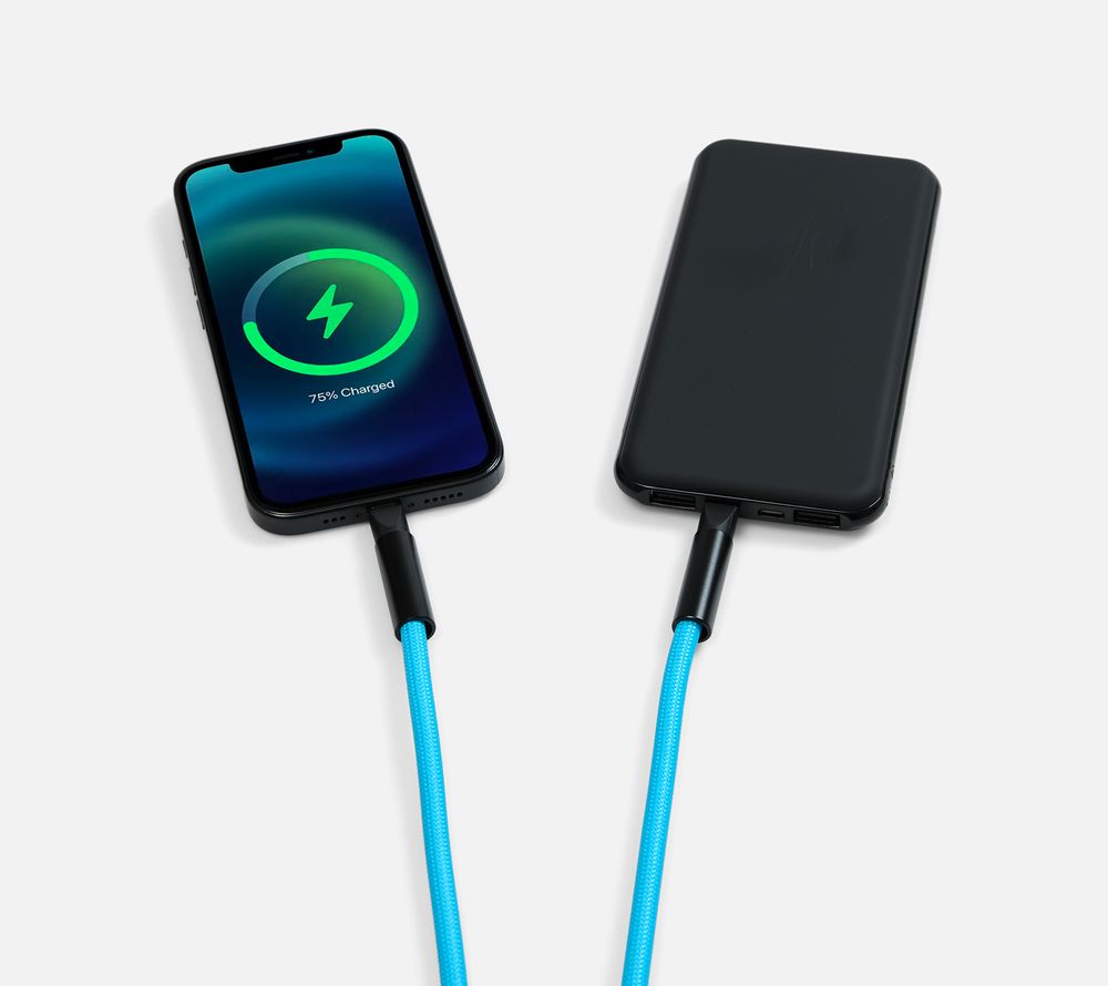 Кабель-ланьярд energyFlex Power Delivery 60 Вт, синий / Миниатюра WWW (1000)
