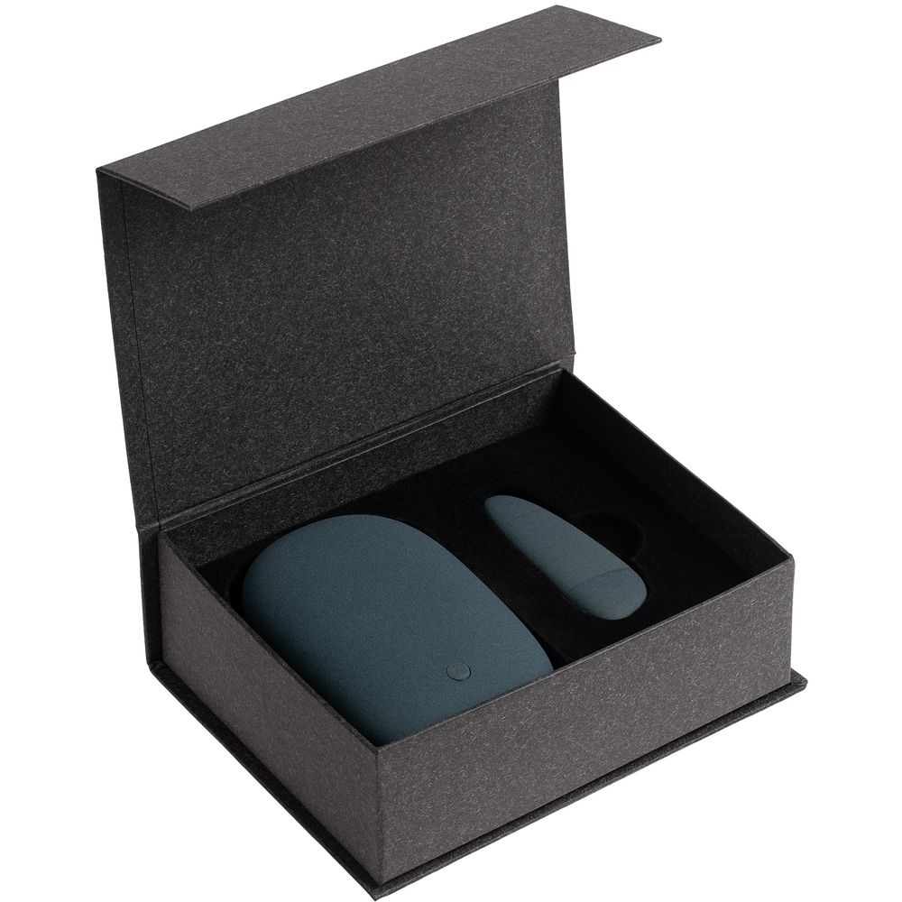 Набор Pebble Universal, большой, синий / Миниатюра WWW (1000)