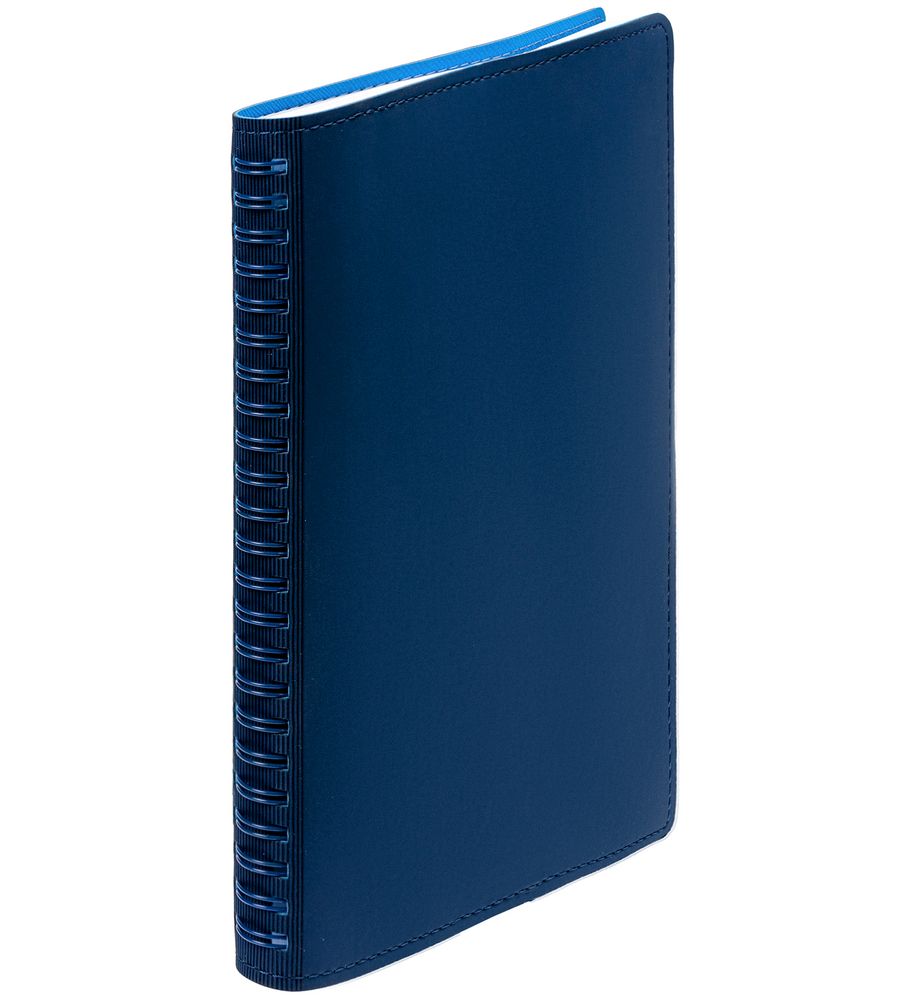 Ежедневник Spring Shall, недатированный, синий / Миниатюра WWW (1000)