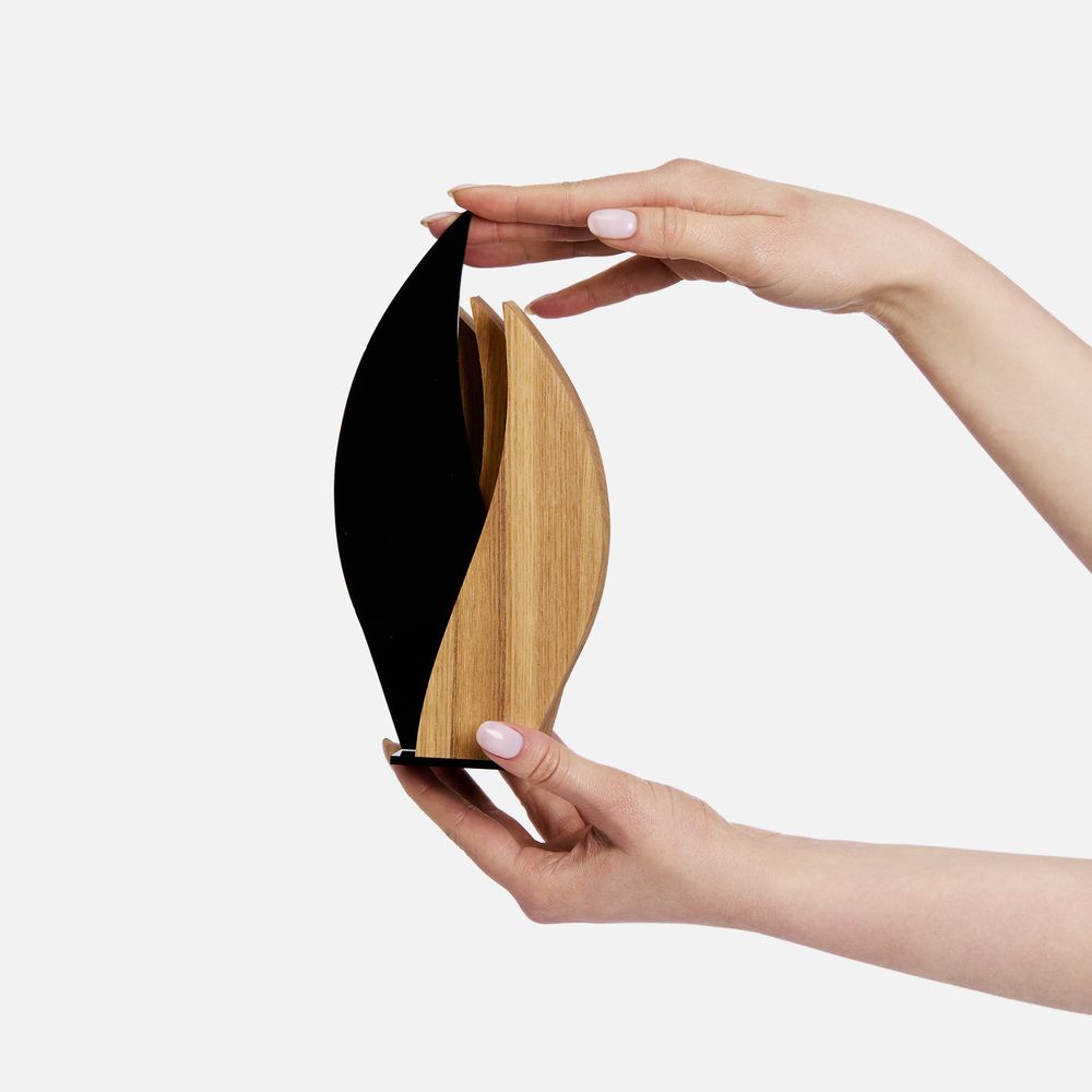 Стела Fame Flame / Миниатюра WWW (1000)