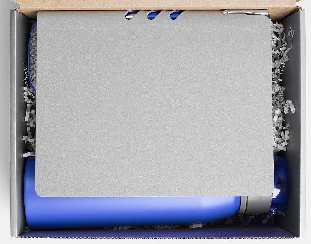 Набор Flexpen Flow, серый с синим / Миниатюра WWW (1000)