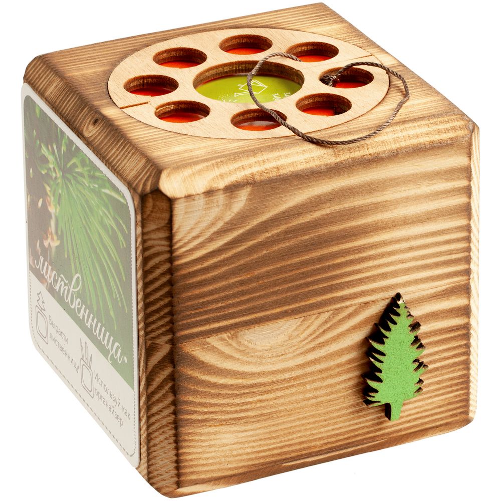 Набор для выращивания с органайзером «Экокуб Burn», лиственница / Миниатюра WWW (1000)