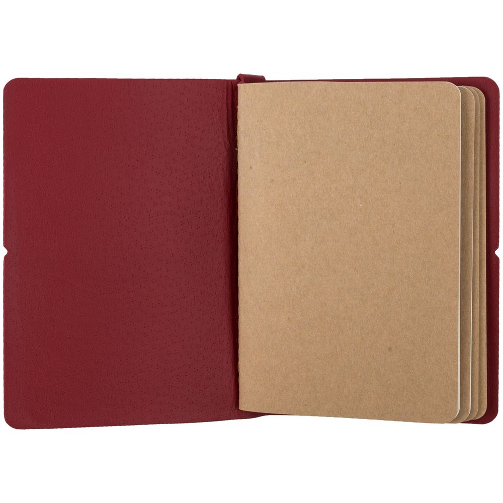 Органайзер Manifold Mini, красный / Миниатюра WWW (1000)