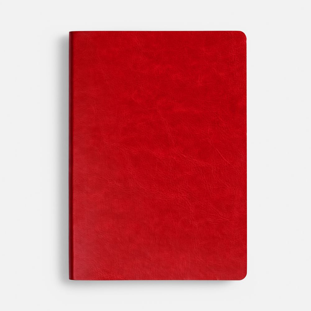 Ежедневник Nebraska Flex, недатированный, красный с серебристым / Миниатюра WWW (1000)