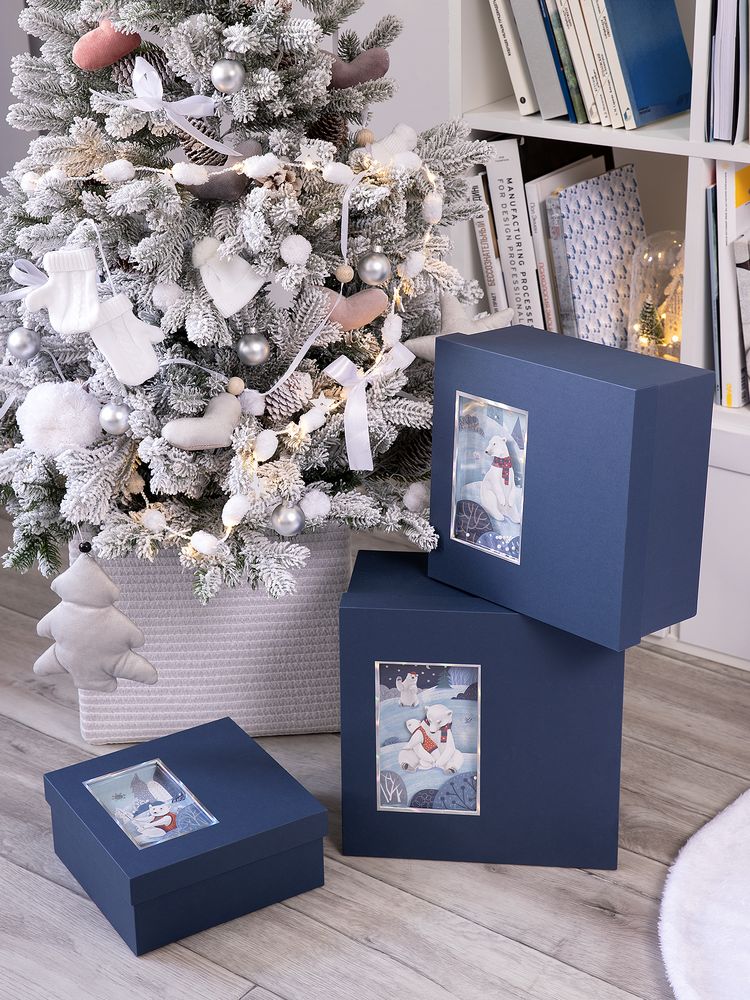 Коробка The Blue Bear, L / Миниатюра WWW (1000)