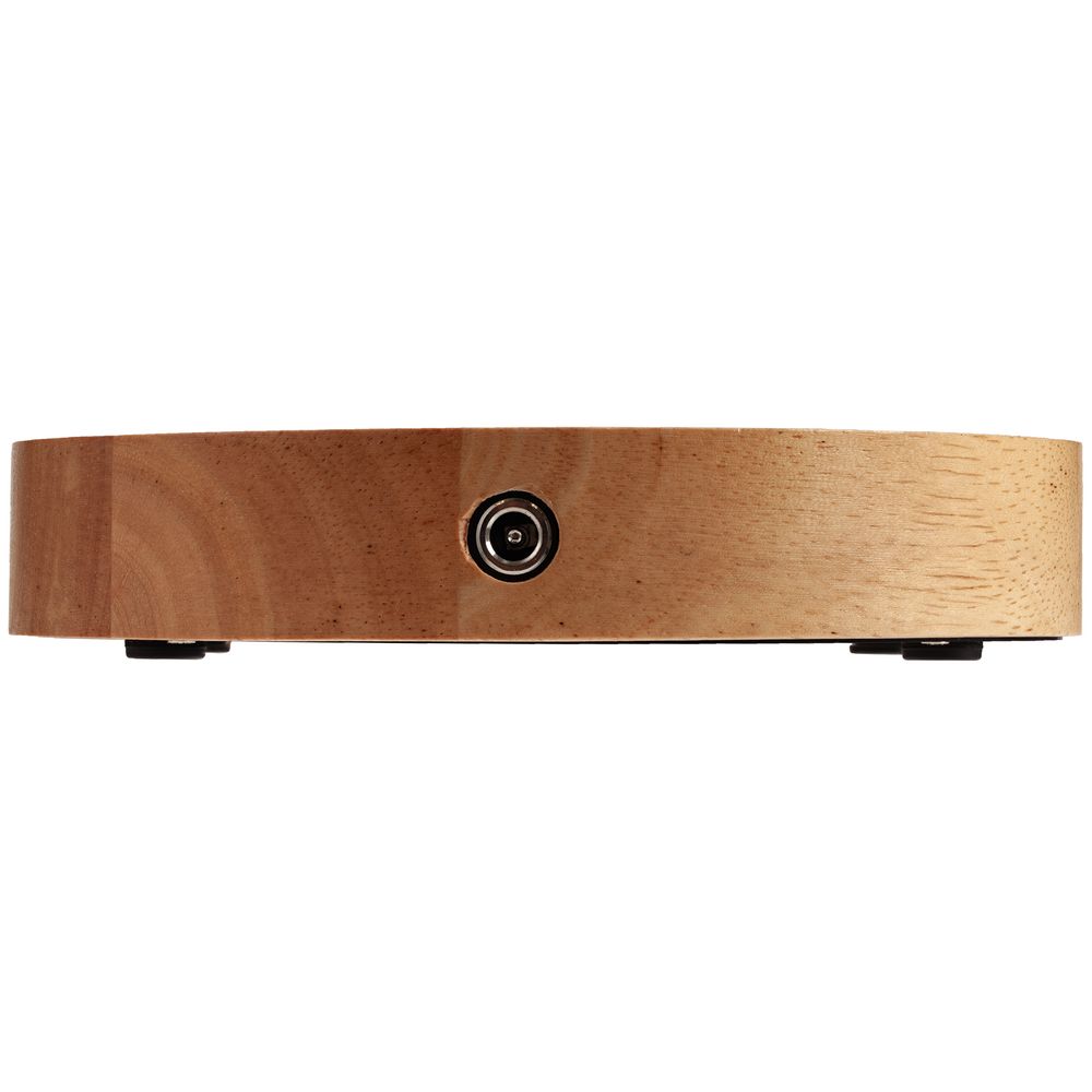 Левитирующая луна MoonFlight / Миниатюра WWW (1000)