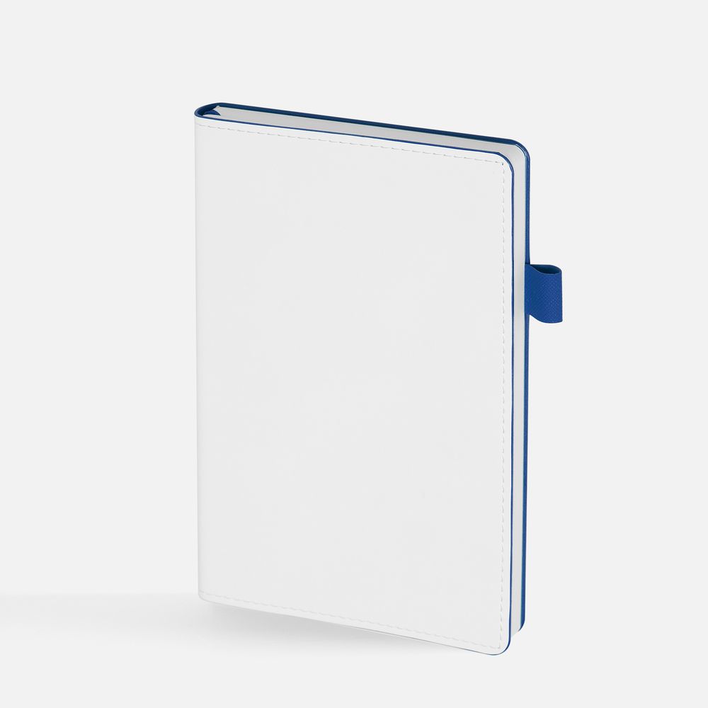 Набор White Shall, бело-синий / Миниатюра WWW (1000)