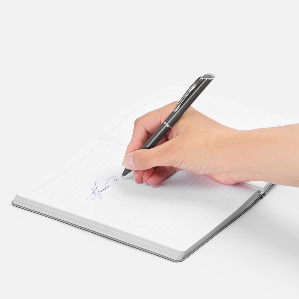 Ручка шариковая Ringa, серая / Миниатюра WWW (1000)