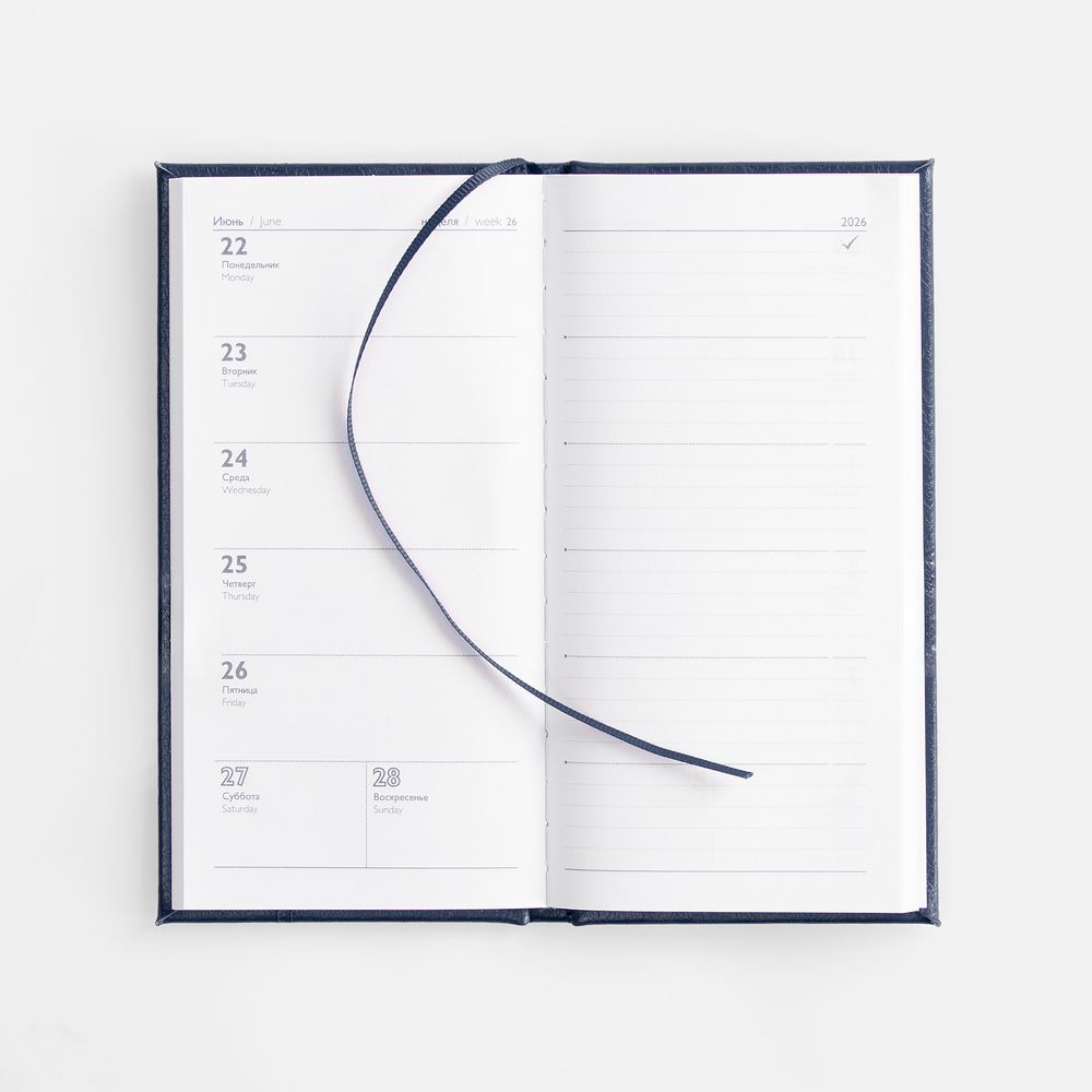 Еженедельник Baza, датированный, синий / Миниатюра WWW (1000)