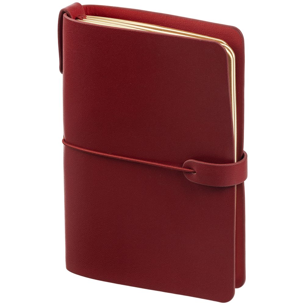 Органайзер Manifold Mini, красный / Миниатюра WWW (1000)