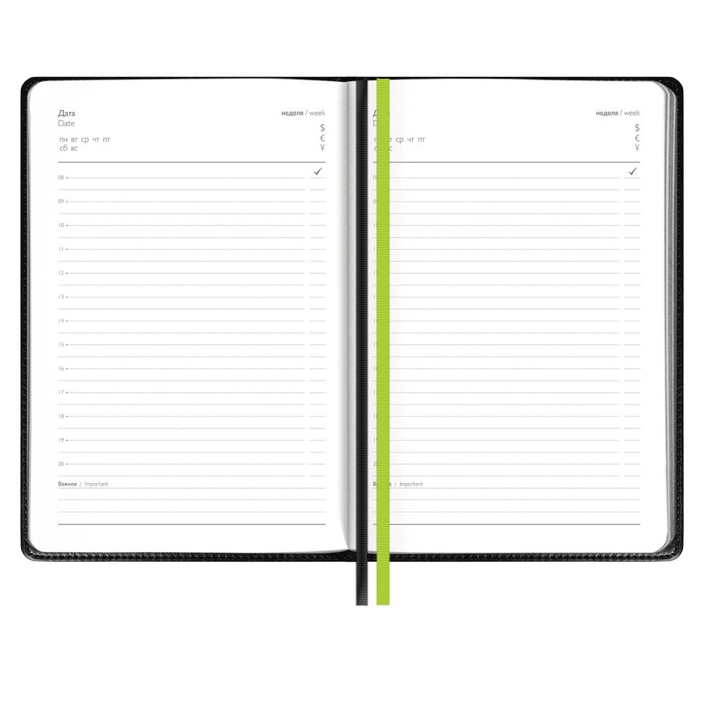 Ежедневник Alanis, недатированный, черный c зеленым / Миниатюра WWW (1000)