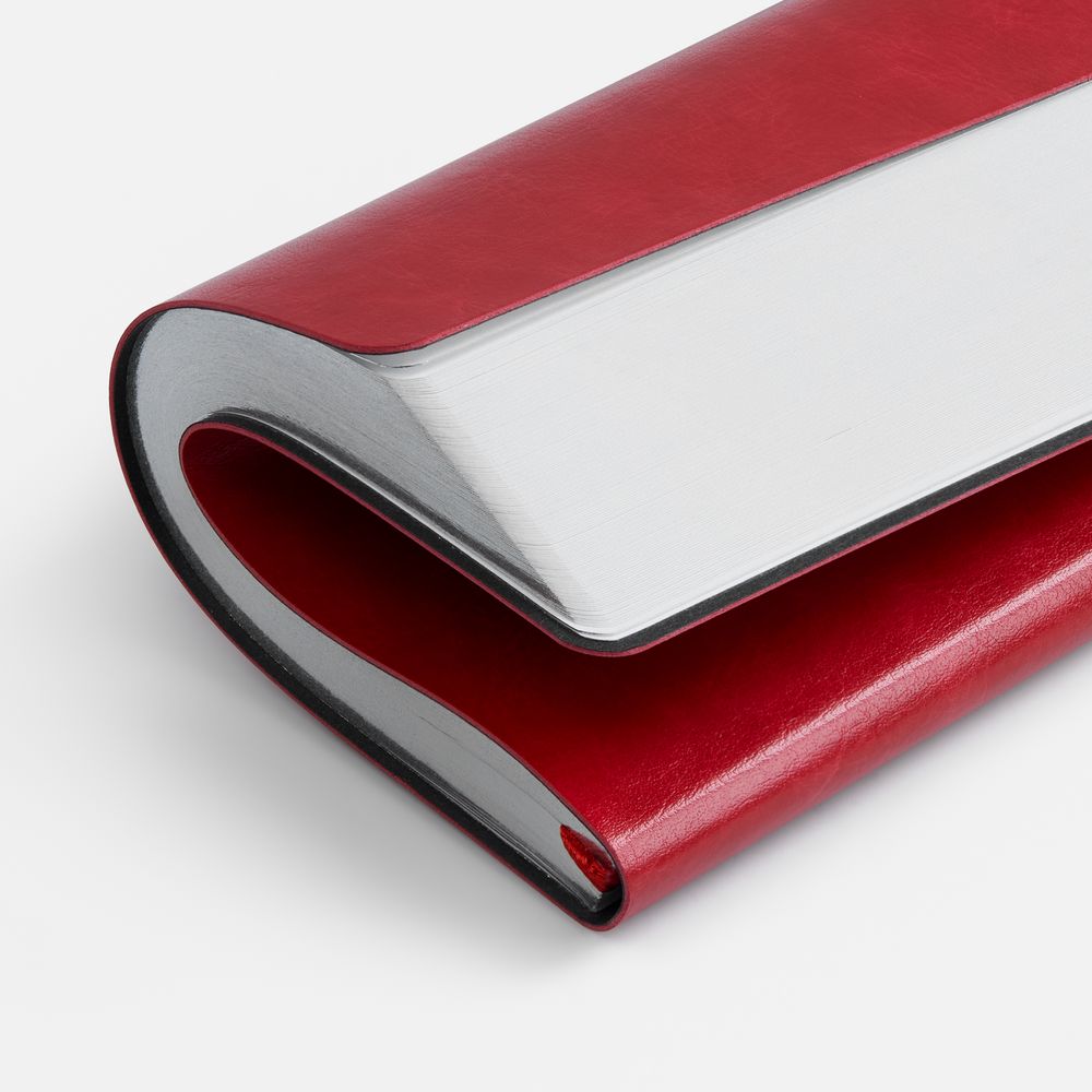 Ежедневник Nebraska Flex, недатированный, красный с серебристым / Миниатюра WWW (1000)