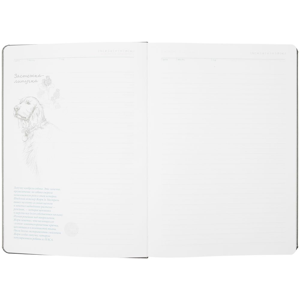 Ежедневник «История изобретений», недатированный, серый / Миниатюра WWW (1000)