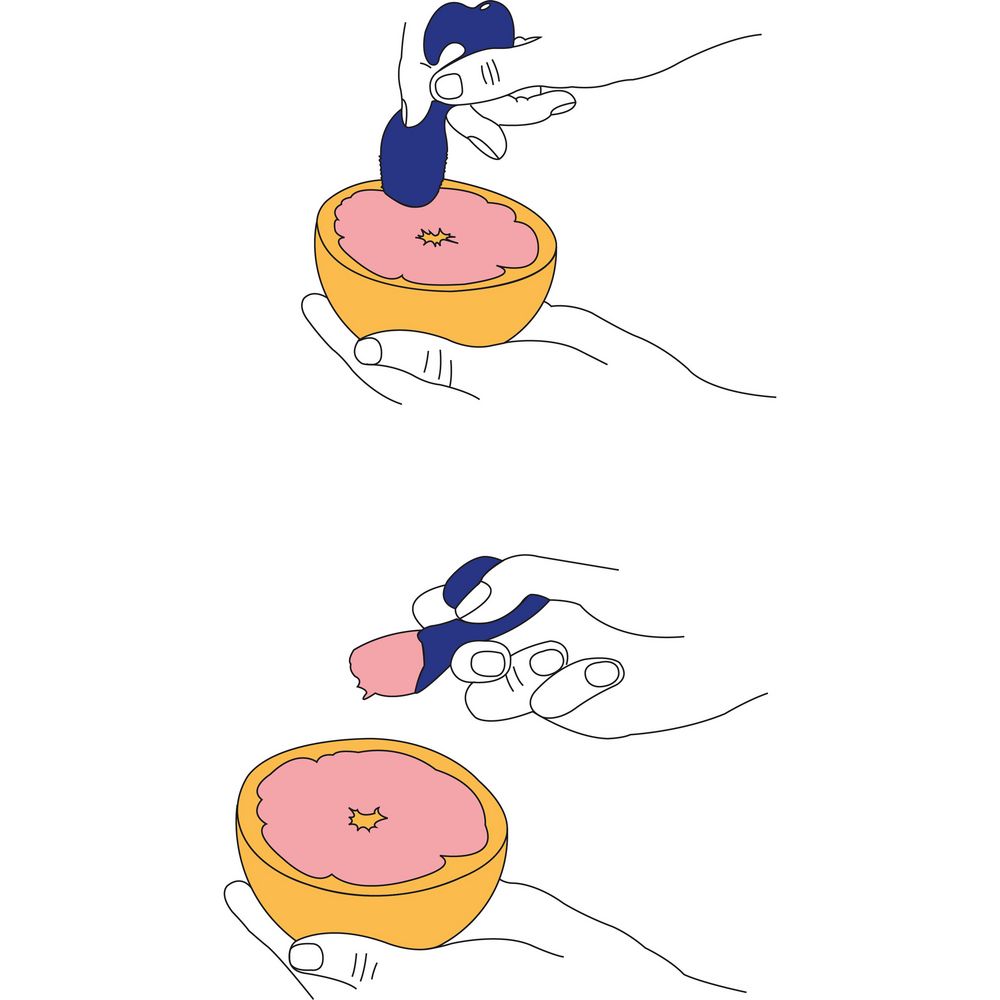 Набор из 3 ножей для фруктов Energy / Миниатюра WWW (1000)