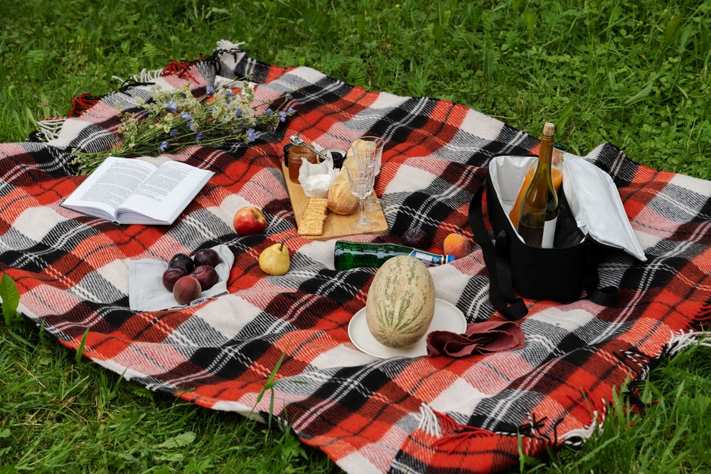 Плед Edinburgh, красный / Миниатюра WWW (1000)