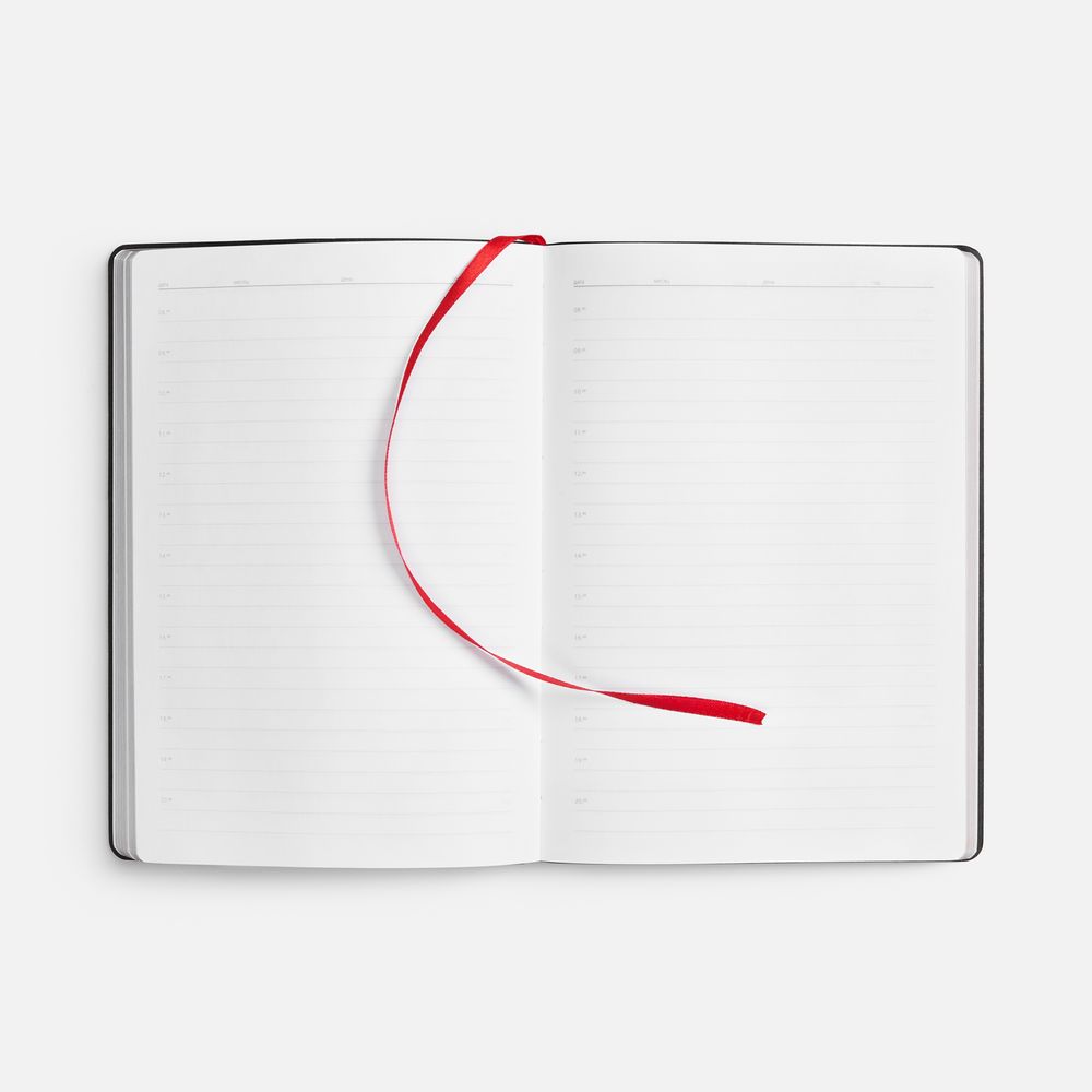 Ежедневник Nebraska Flex, недатированный, красный с серебристым / Миниатюра WWW (1000)