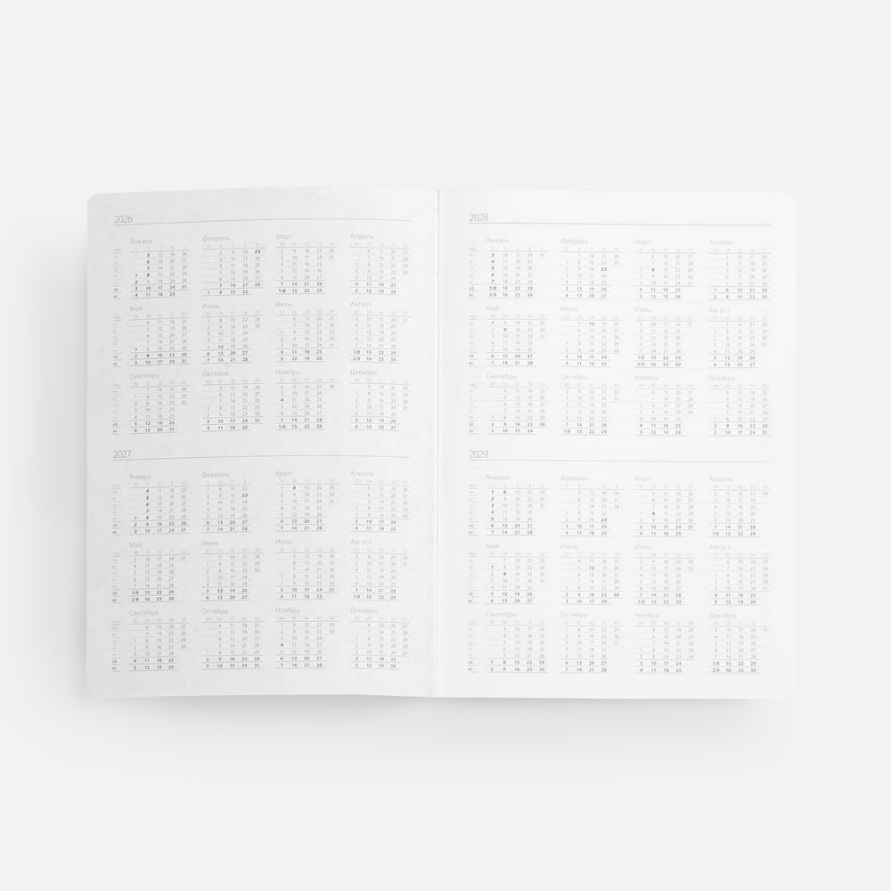 Ежедневник Nebraska Flex, недатированный, черный с золотистым / Миниатюра WWW (1000)