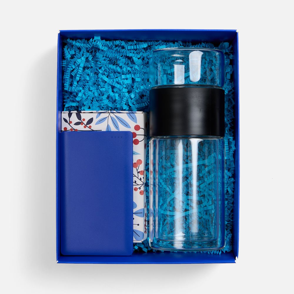 Набор Invigo, синий / Миниатюра WWW (1000)