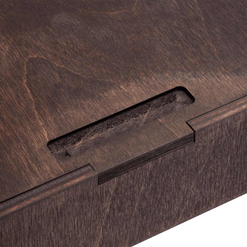 Награда Asteri Light Silver / Миниатюра WWW (1000)