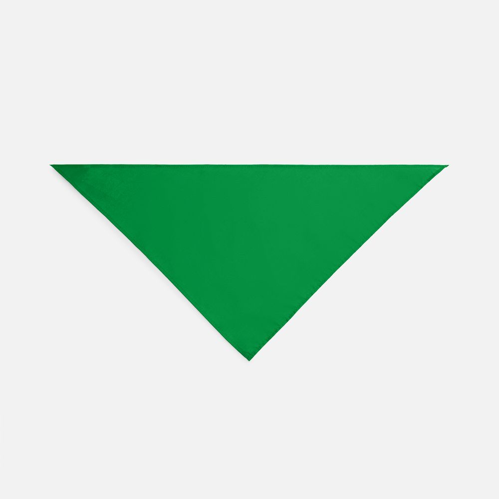 Шейный платок Bandana, ярко-зеленый / Миниатюра WWW (1000)