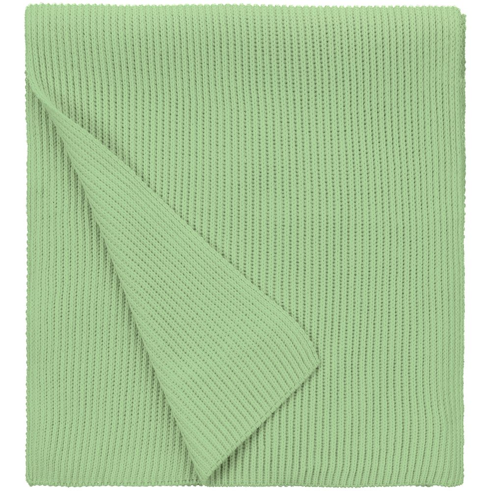 Шарф Life Explorer, зеленый (мятный) / Миниатюра WWW (1000)