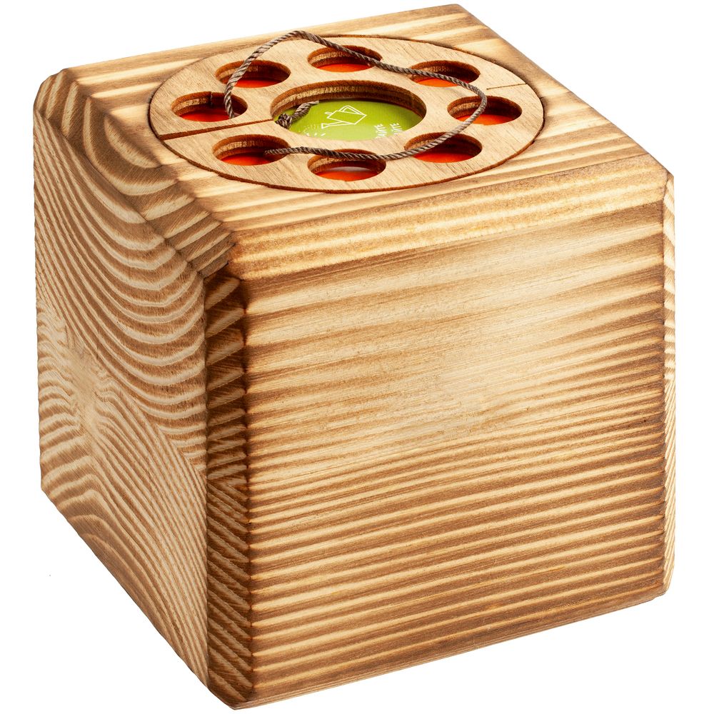 Набор для выращивания с органайзером «Экокуб Burn», лиственница / Миниатюра WWW (1000)