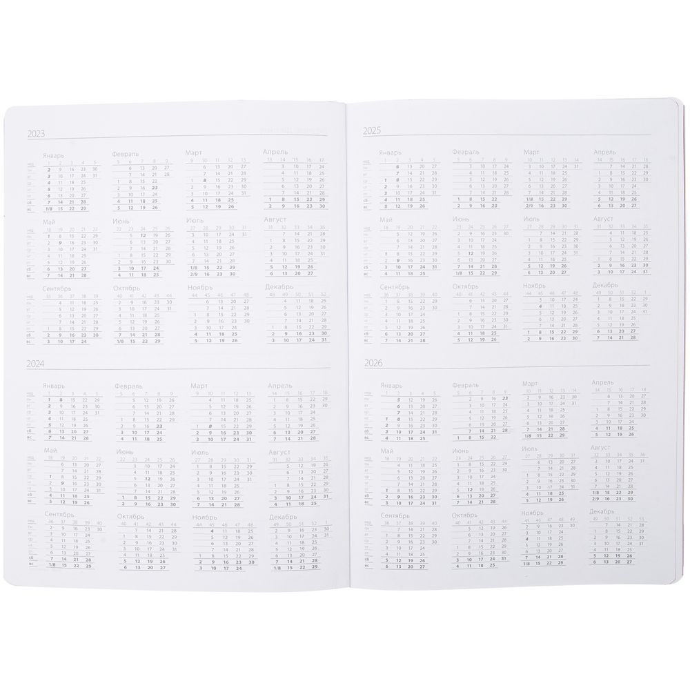 Ежедневник Flexpen, недатированный, серебристо-синий / Миниатюра WWW (1000)