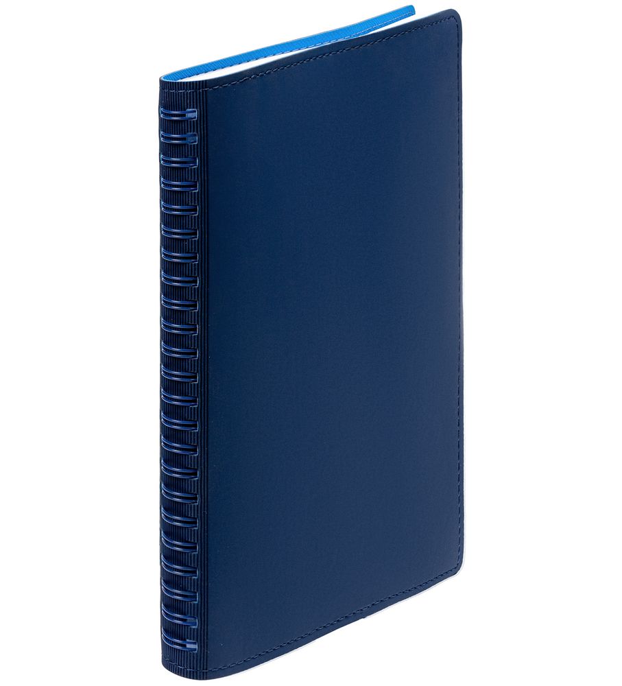 Ежедневник Spring Shall, недатированный, синий / Миниатюра WWW (1000)