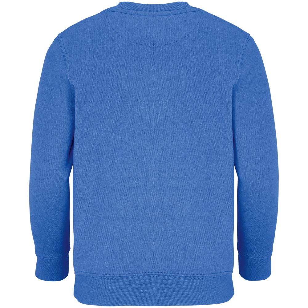 Свитшот детский Columbia Kids, ярко-синий (royal) / Миниатюра WWW (1000)
