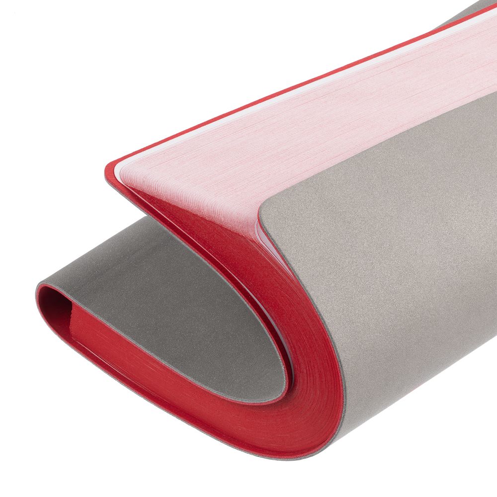 Набор Flexpen Energy, серебристо-красный / Миниатюра WWW (1000)