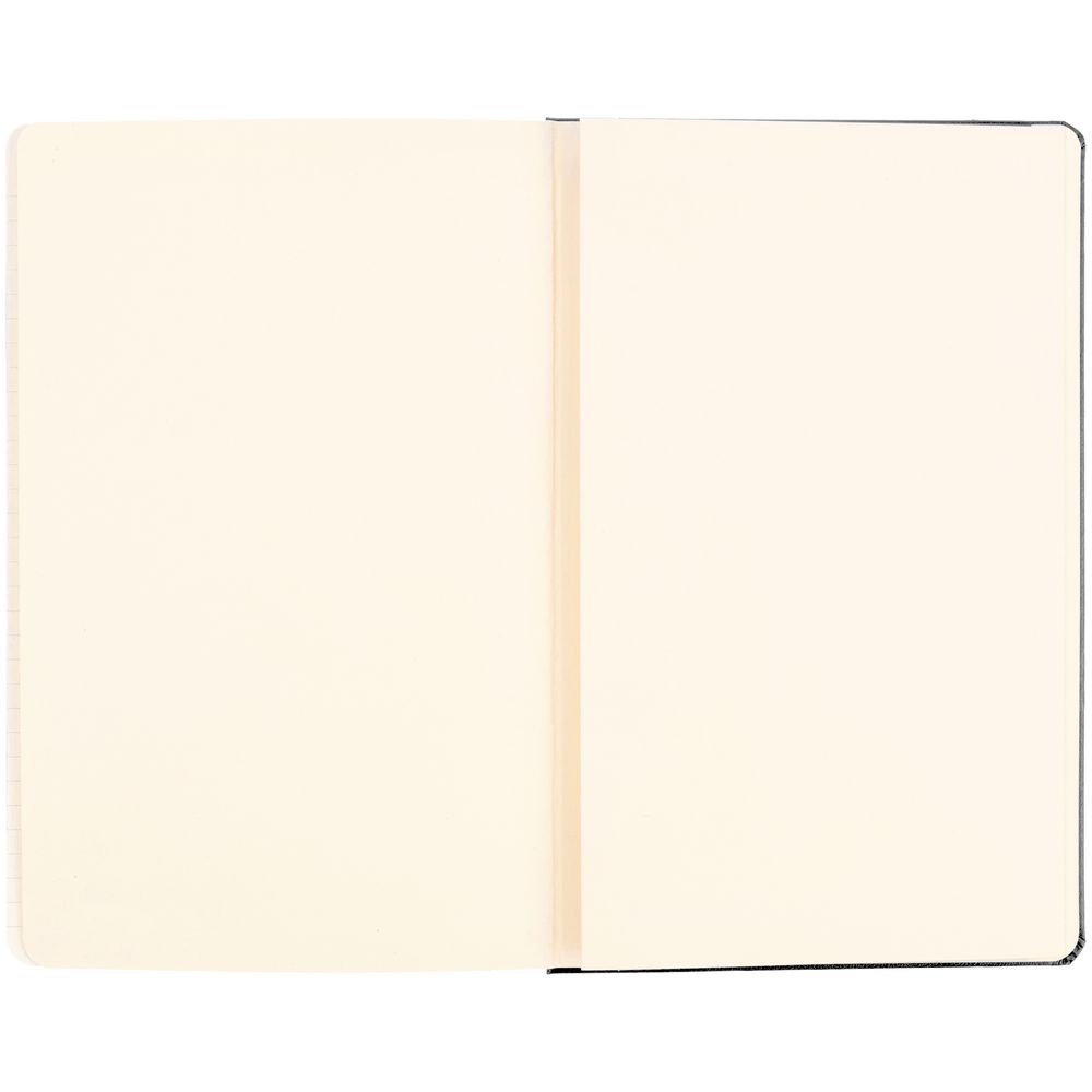 Записная книжка Moleskine Classic Large, в клетку, черная / Миниатюра WWW (1000)