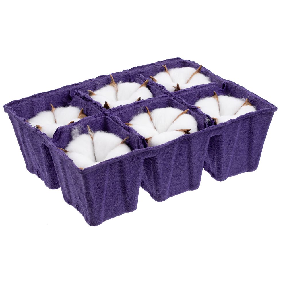 Цветок хлопка Cotton, белый / Миниатюра WWW (1000)