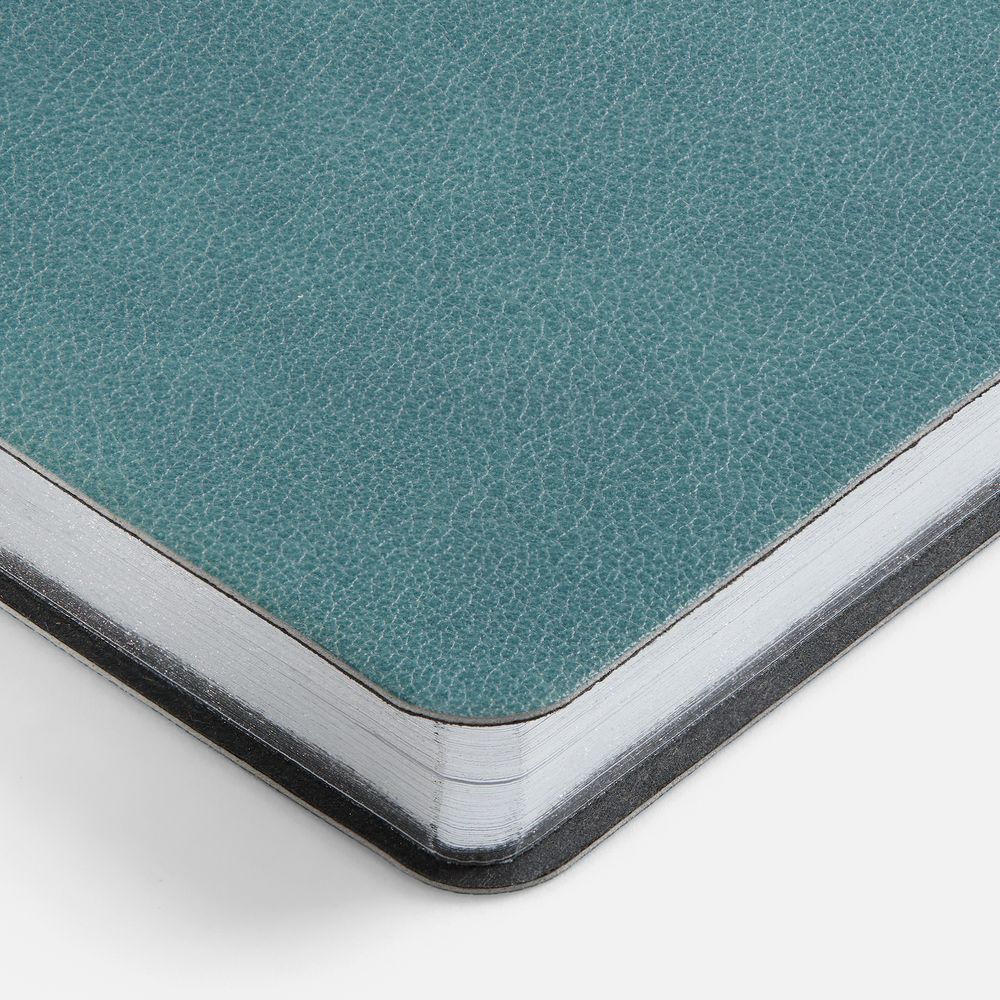 Ежедневник Petrus, недатированный, голубой / Миниатюра WWW (1000)