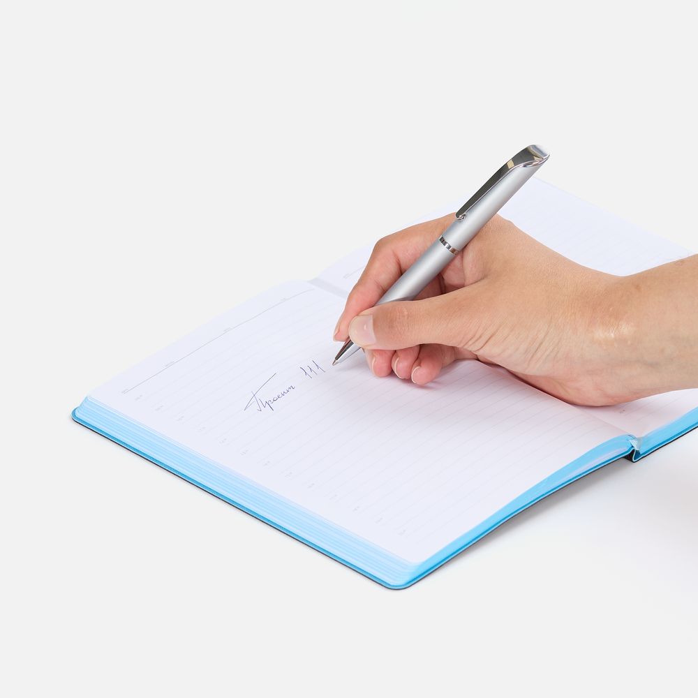 Ручка шариковая Glide, серая / Миниатюра WWW (1000)