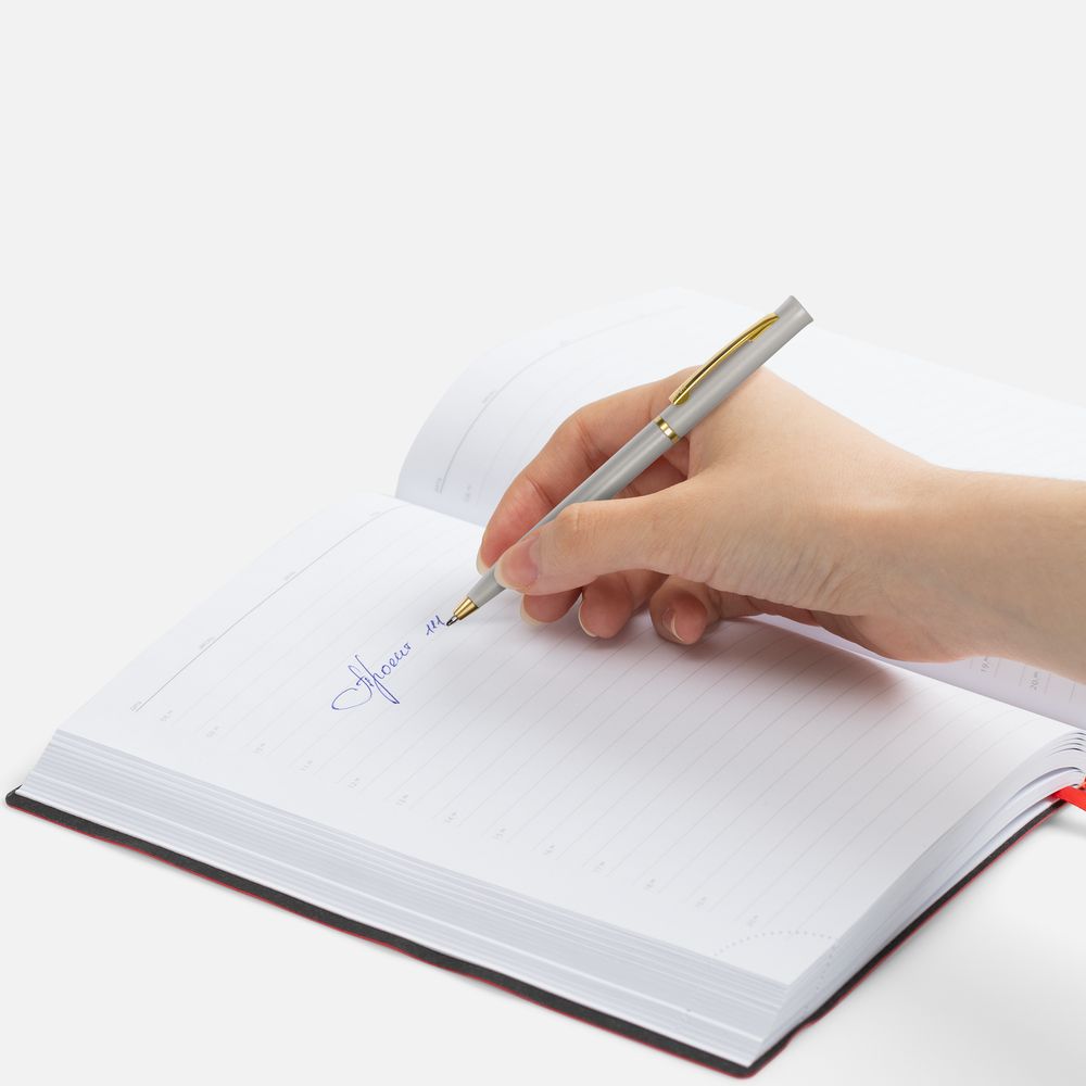 Ручка шариковая Euro Gold, серая / Миниатюра WWW (1000)