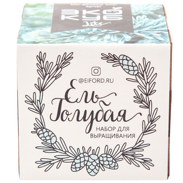 Набор для выращивания «Экокуб Lite», ель голубая / Миниатюра WWW (1000)
