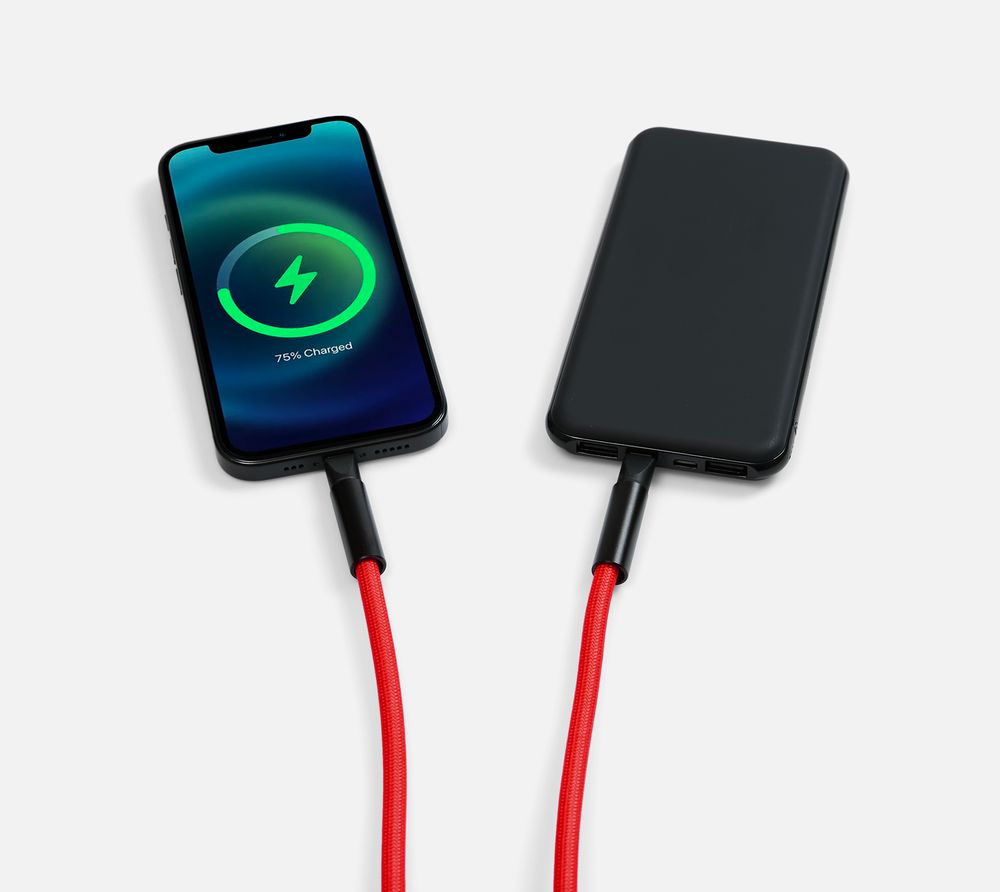Кабель-ланьярд energyFlex Power Delivery 60 Вт, красный / Миниатюра WWW (1000)