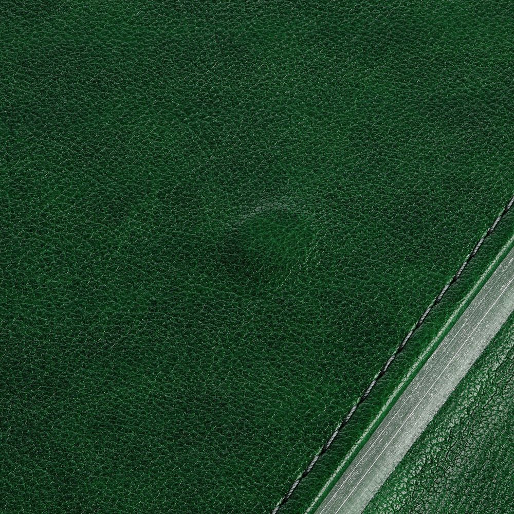 Ежедневник Flap, недатированный, зеленый / Миниатюра WWW (1000)